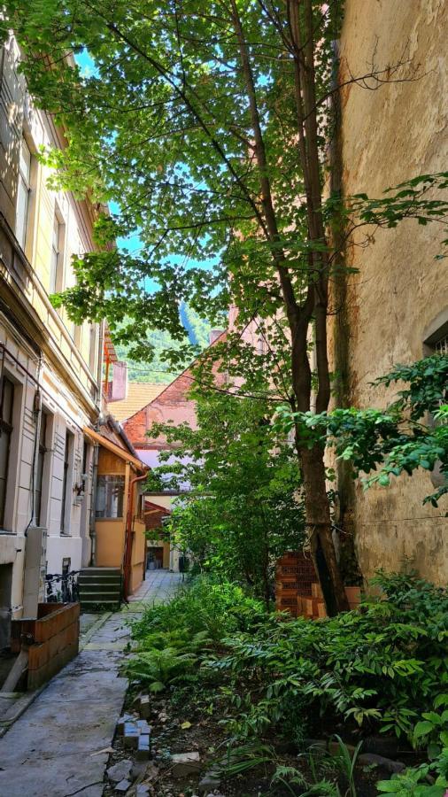 Zeiss House Lägenhet Braşov Exteriör bild